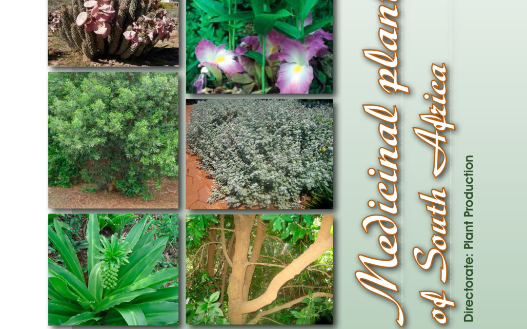 Medicinal Plants